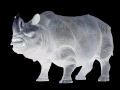 rhino74s's Avatar